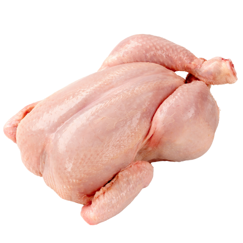 Chicken Meat