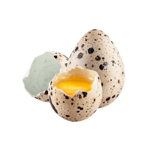Quail Eggs