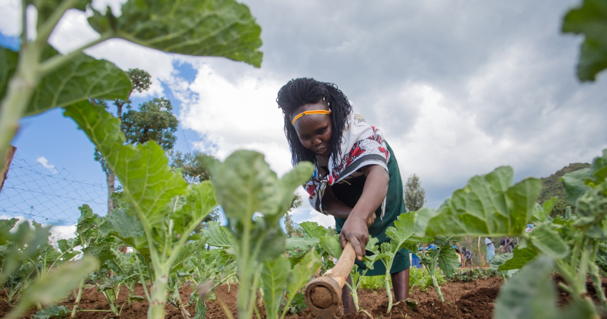 Woman farming at Flycorp Farms